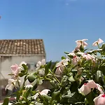 بيت للعطل Palazzo Ammicc