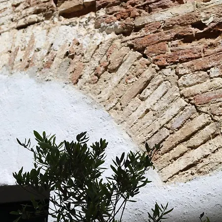 Palazzo Ammicc Bernalda