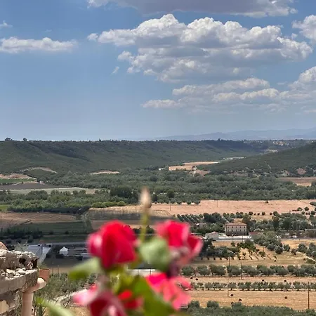 Casa vacanze Palazzo Ammicc