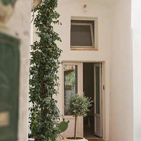 Palazzo Ammicc