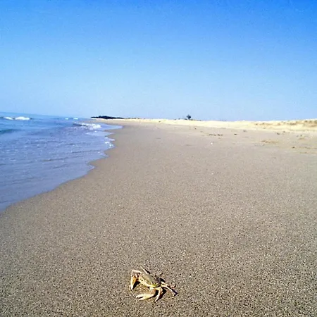 Palazzo Ammicc * Bernalda