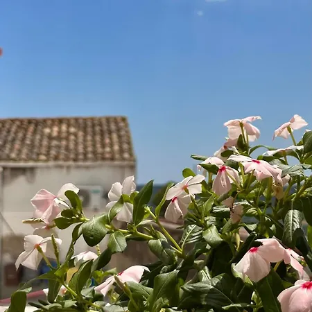 Casa vacanze Palazzo Ammicc