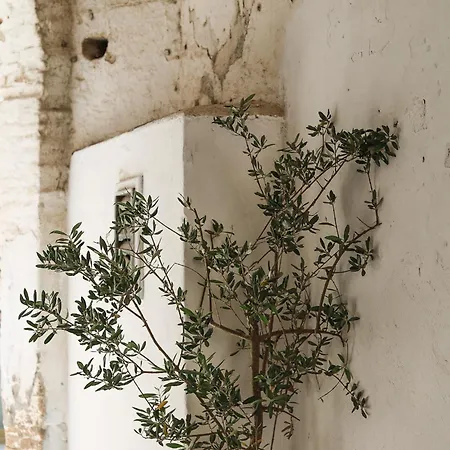 Palazzo Ammicc Casa vacanze Bernalda