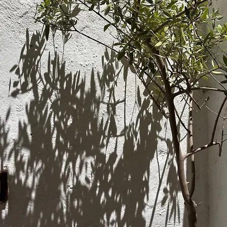 Palazzo Ammicc Bernalda