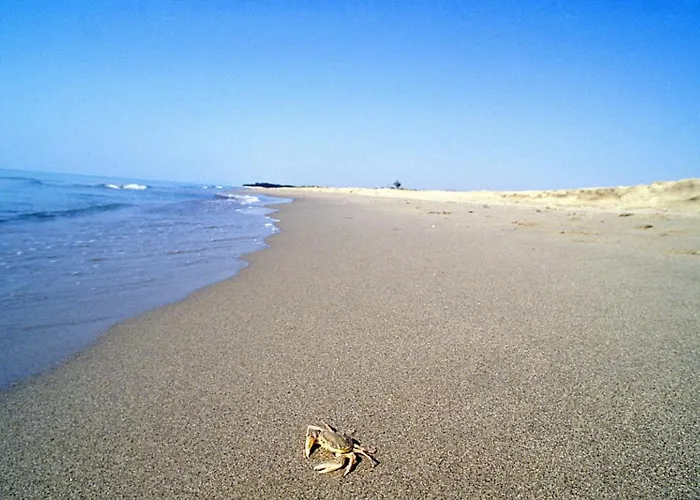 Palazzo Ammicc * Bernalda