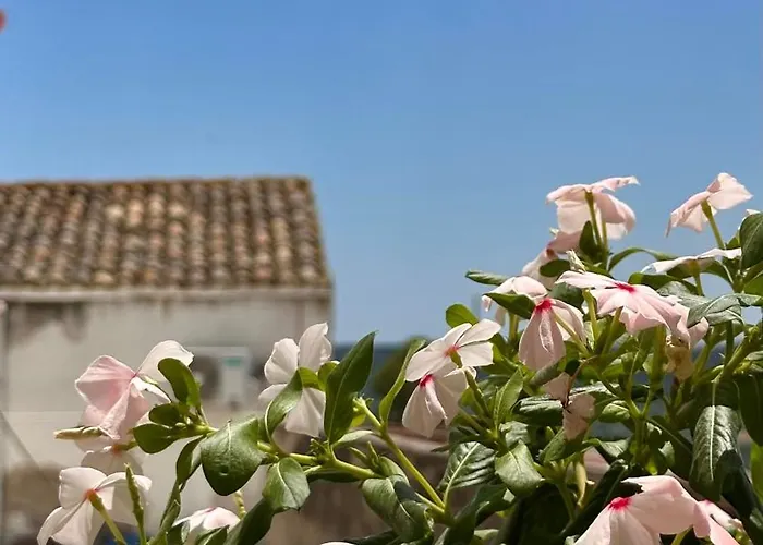 Holiday home Palazzo Ammicc