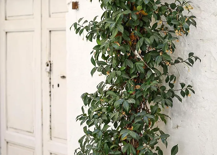 Palazzo Ammicc Bernalda