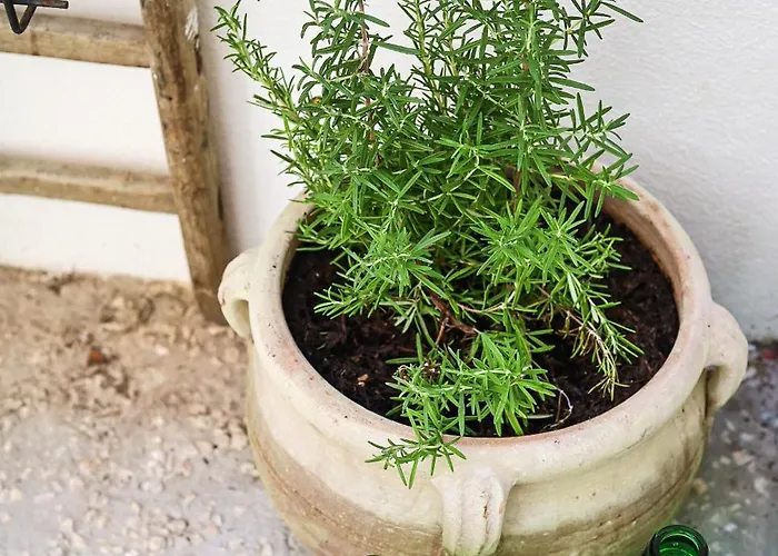 Prázdninový dům Palazzo Ammicc