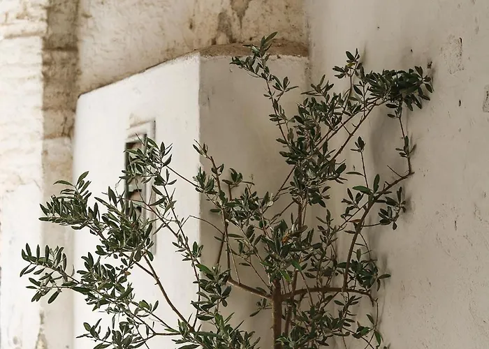 Palazzo Ammicc Prázdninový dům Bernalda