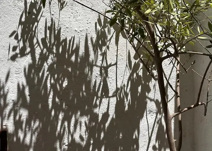 Palazzo Ammicc Bernalda