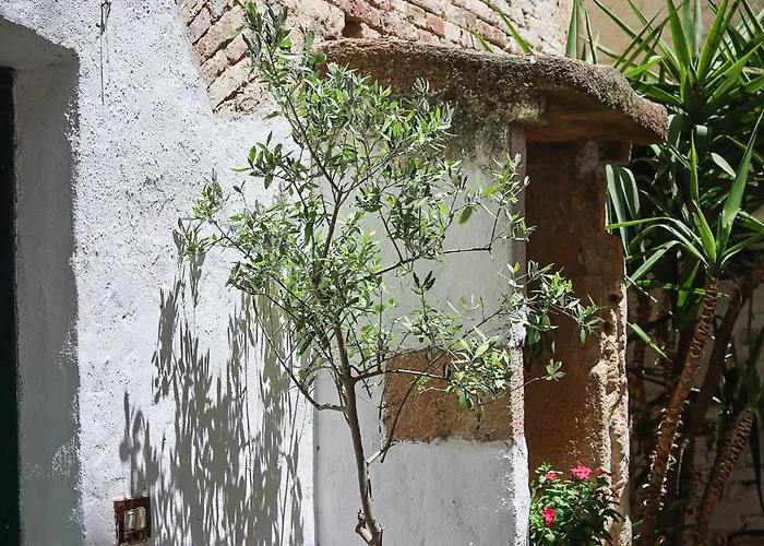 Palazzo Ammicc Bernalda